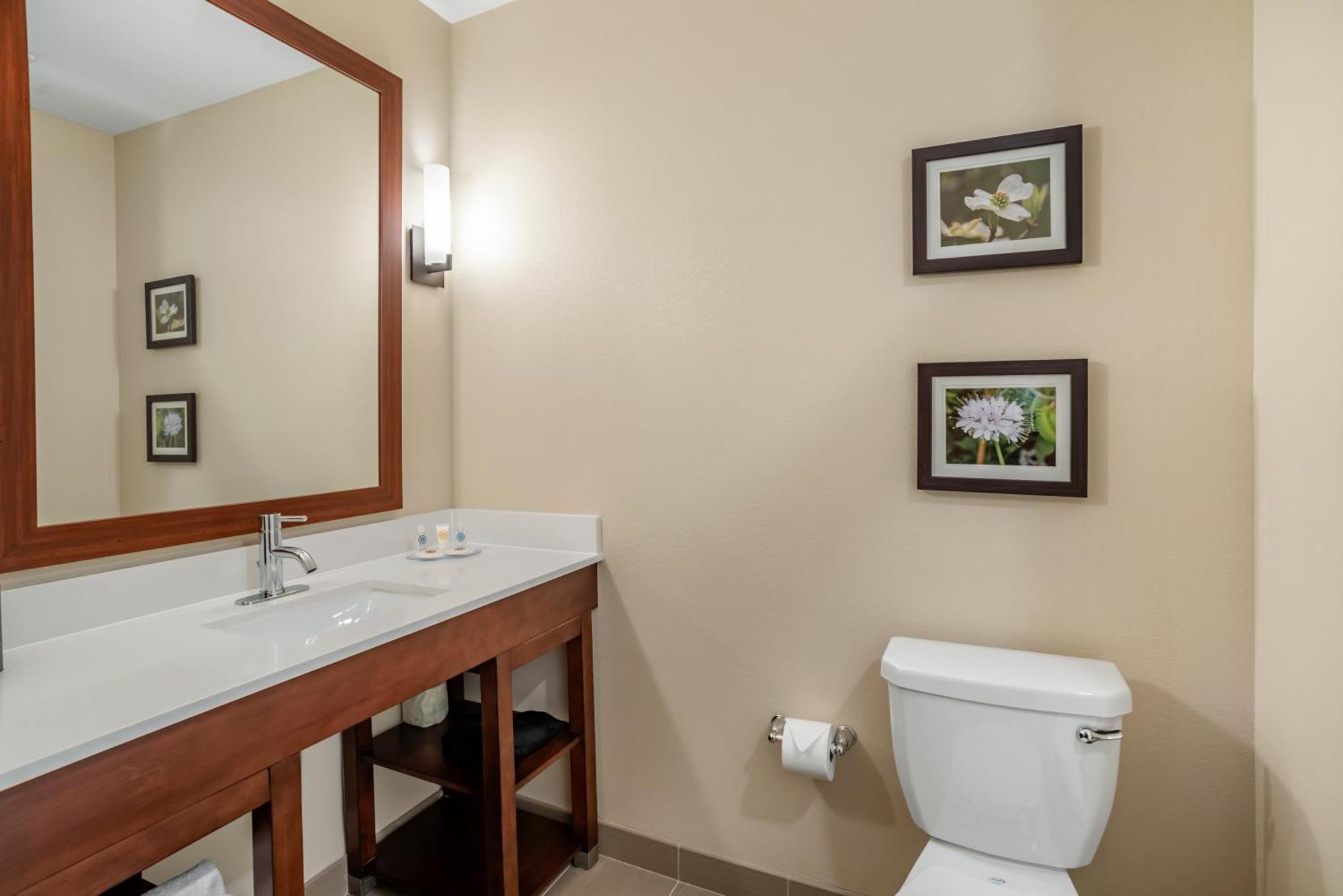 ווינצ'סטר Comfort Inn & Suites חדר תמונה